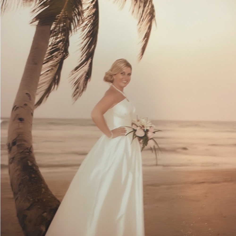 Alyne wedding dress. Worn once, professionally cleaned, and preserved.